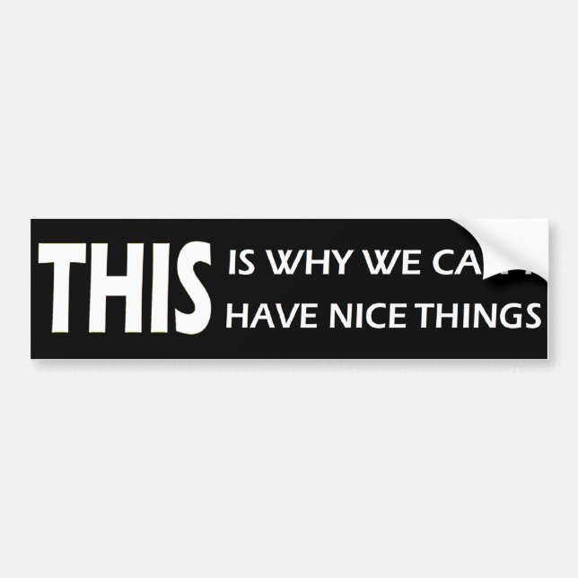 THIS Is Why We Can't Have Nice Things Bumper Sticker (Front)