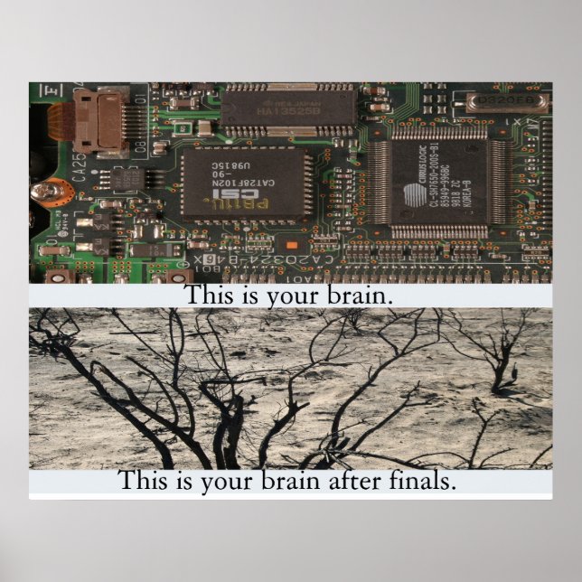 This is Your Brain. Poster (Front)