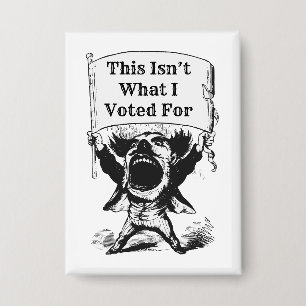 This Isn’t What I Voted For