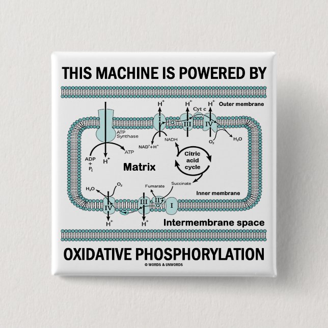 This Machine Powered By Oxidative Phosphorylation 2 Inch Square Button (Front)