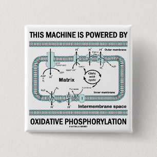 This Machine Powered By Oxidative Phosphorylation 2 Inch Square Button