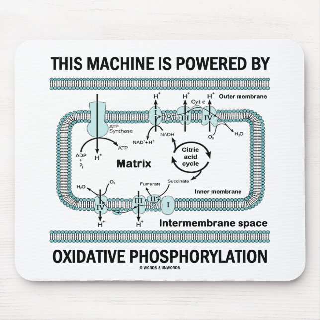 This Machine Powered By Oxidative Phosphorylation Mouse Pad (Front)
