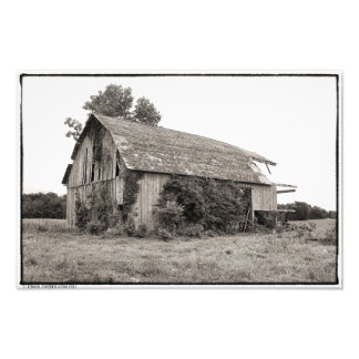 This Old Barn Photo Print