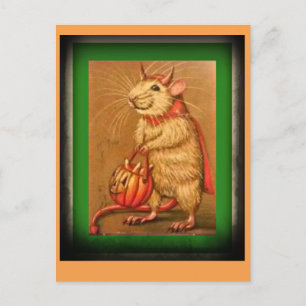 This Old Mouse Postcard