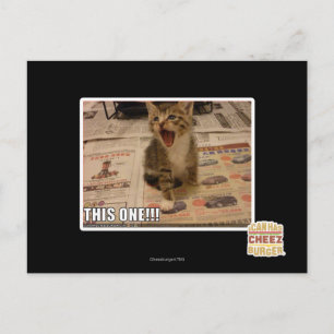 This one! postcard
