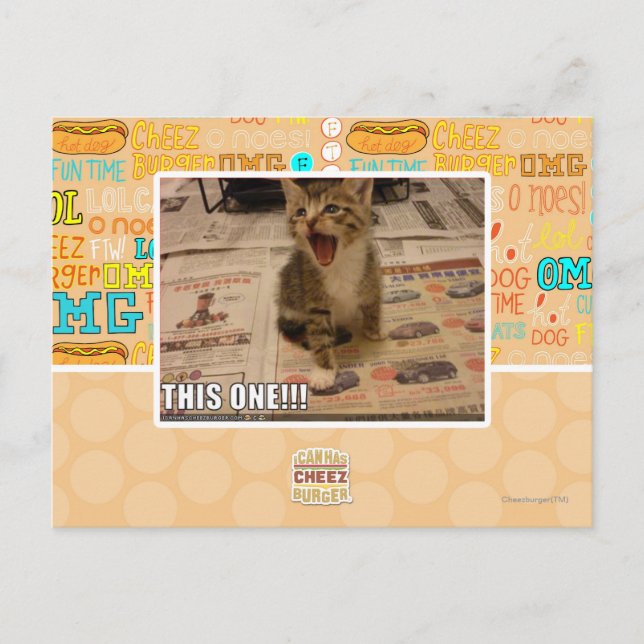 This one! postcard (Front)