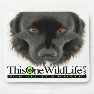This One Wild Life Mouse Pad