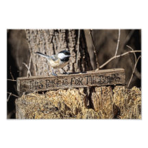 This Place is for the Birds