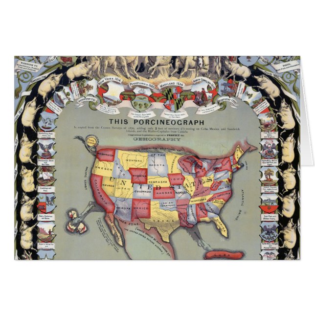 THIS PORCINEOGRAPH, c1876 (Front Horizontal)