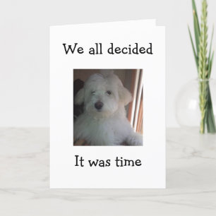 THIS PUP WILL SAY HAPPY BIRTHDAY FOR YOUR GROUP CARD