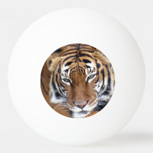 This Tiger Means Business Ping Pong Ball