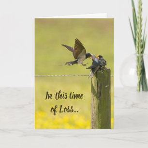 This Time of Loss Scripture Comfort Swallow Bird  Card