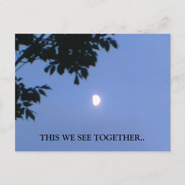 , THIS WE SEE TOGETHER love postcard (Front)