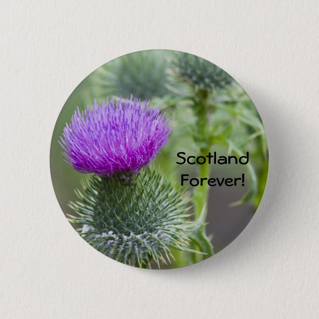 Thistle 2 Inch Round Button (Front)