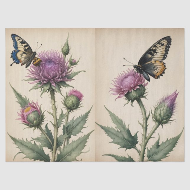 Thistle and Butterfly Print Tissue Paper (Front)