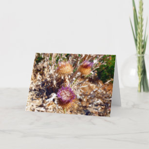Thistle Card