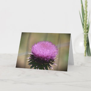 Thistle, card
