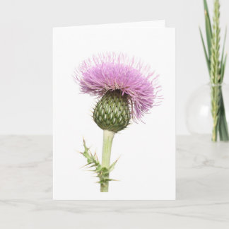 Thistle Card