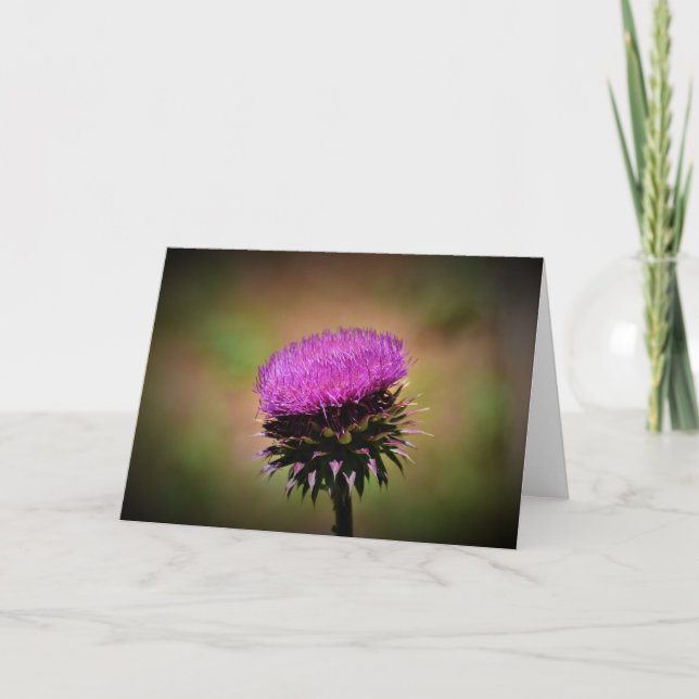 Thistle, card (Front)