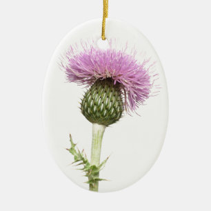 Thistle Ceramic Ornament