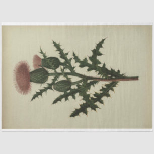 Thistle Decoupage Paper