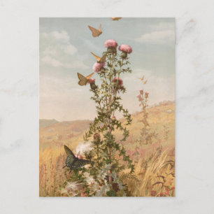 Thistle   Fidelia Bridges Postcard