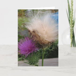 Thistle Flower and Down Card