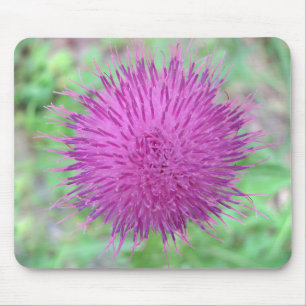 Thistle Flower Mouse Pad