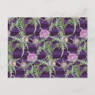 Thistle flowers violet postcard