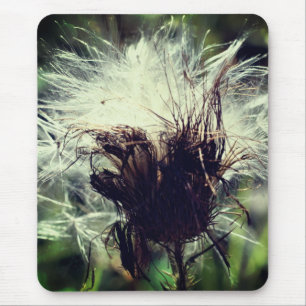 Thistle Fluff Flower Nature Mouse Pad