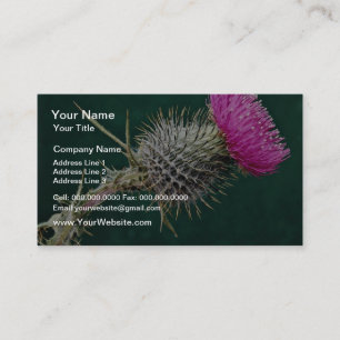 Thistle head  flowers business card