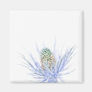 Thistle head in close up magnet