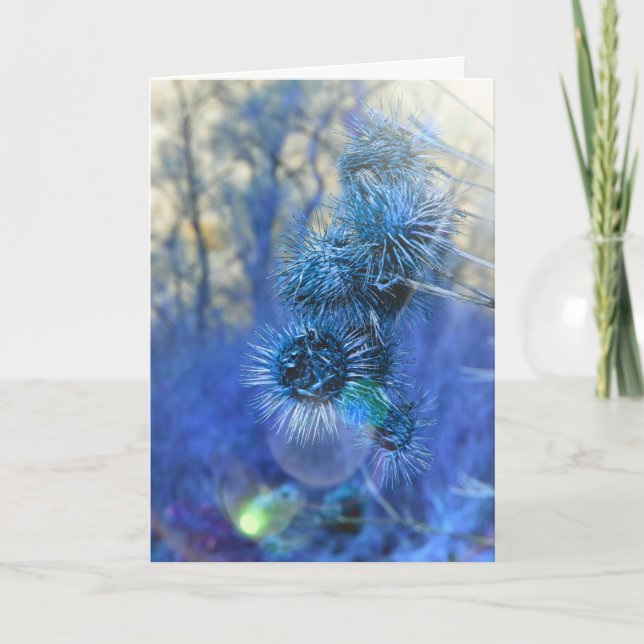 Thistle in Purple Card (Front)