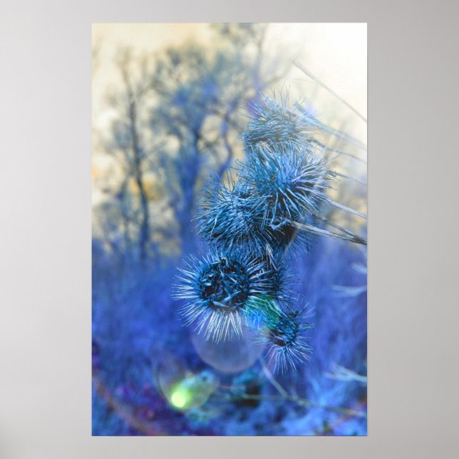 Thistle in Purple Poster (Front)