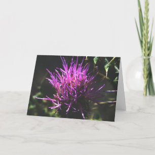 "Thistle Kiss" Card