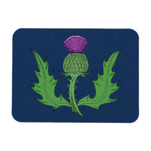 Thistle Magnet
