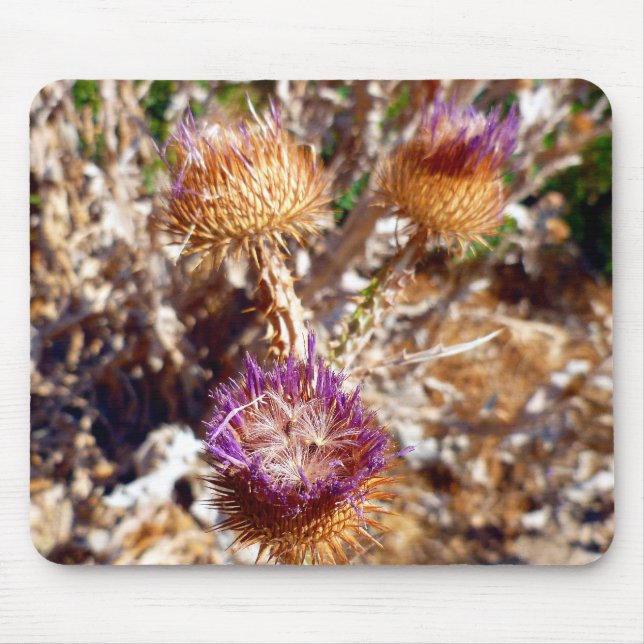 Thistle Mouse Pad (Front)