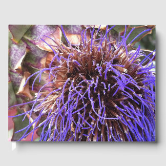 Thistle Photographic Guest Book