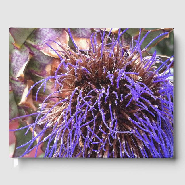 Thistle Photographic Guest Book (Front)