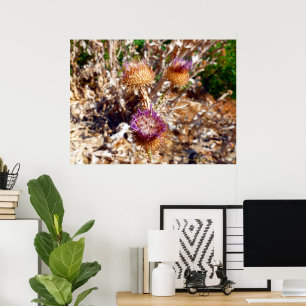 Thistle Poster