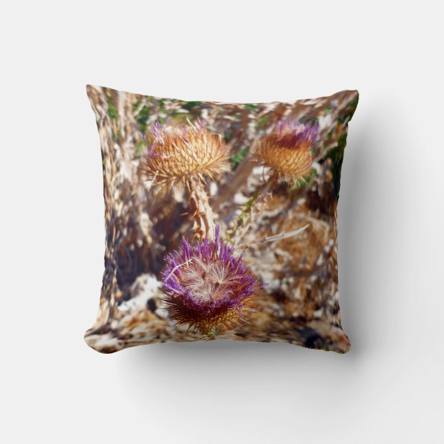 Thistle Throw Pillow (Front)
