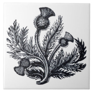 Thistle Tile