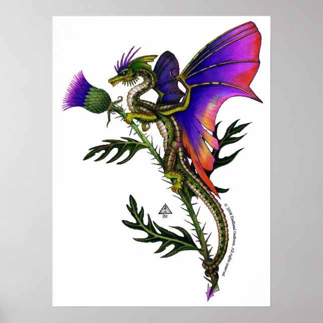 Thistlebairn Print (Front)