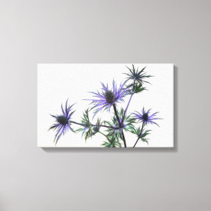 Thistles Canvas Print