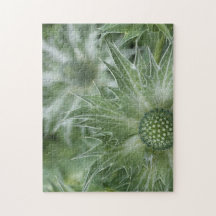 Thistles Puzzle