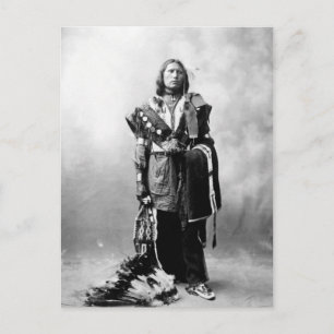 Thomas American Horse Postcard