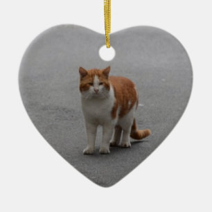Thomas Ginger And White Cat Ceramic Ornament