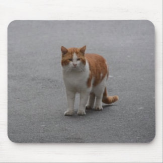 Thomas Ginger And White Cat Mouse Pad