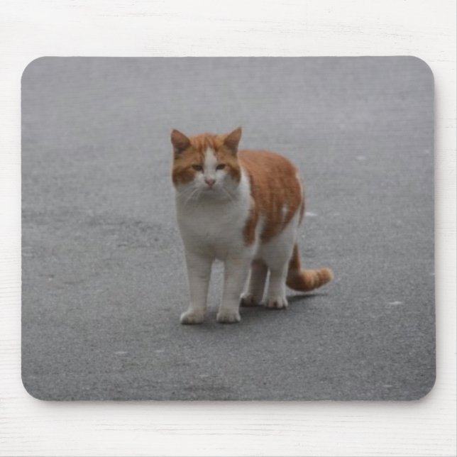 Thomas Ginger And White Cat Mouse Pad (Front)