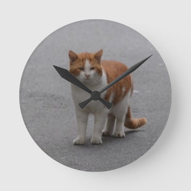 Thomas Ginger And White Cat Round Clock (Front)